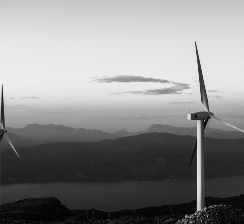 Wind turbines representing sustainability and cost efficiency